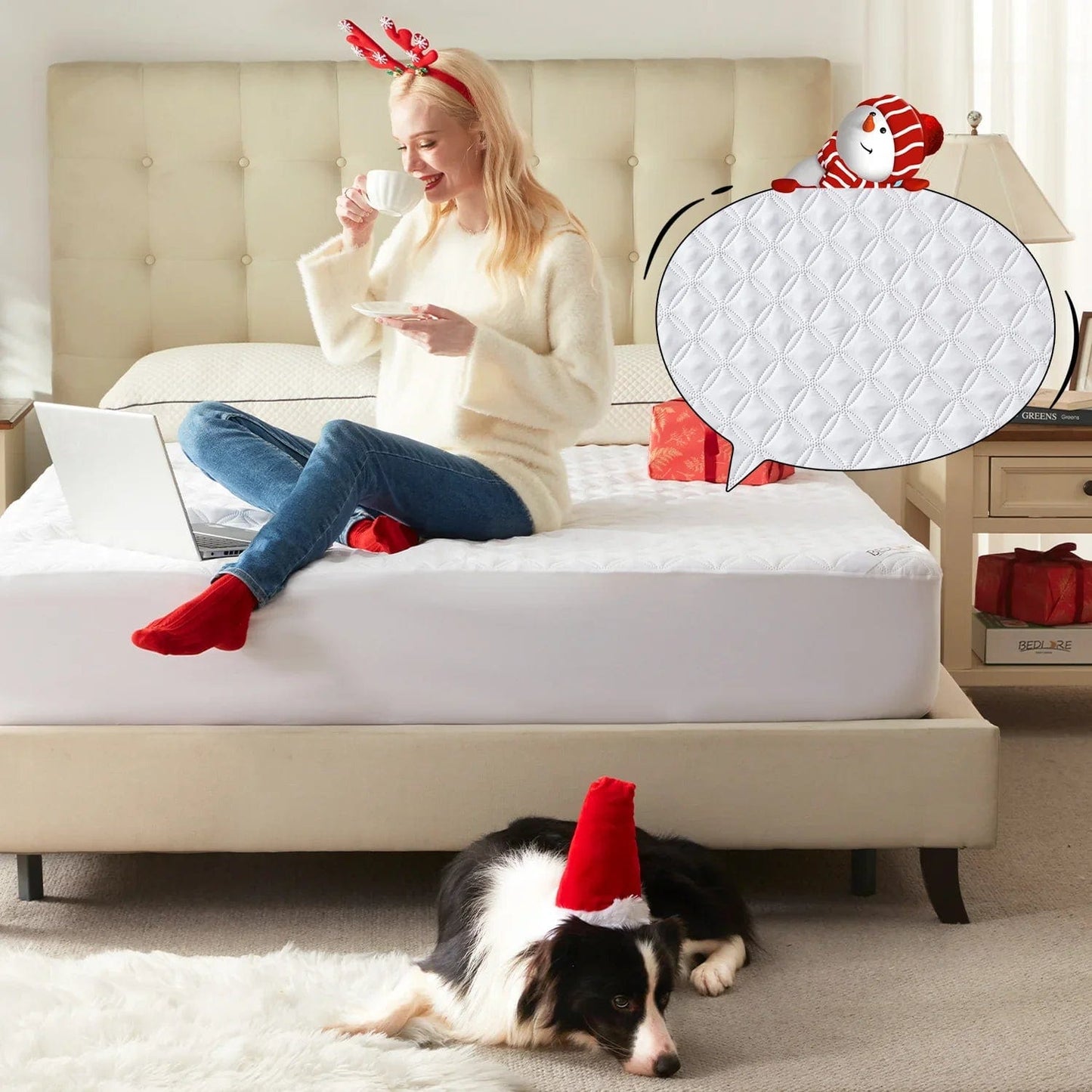 Waterproof Mattress Protector