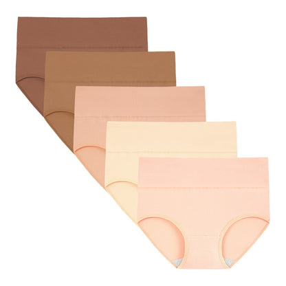 Women's High Waisted Briefs 5-Pack