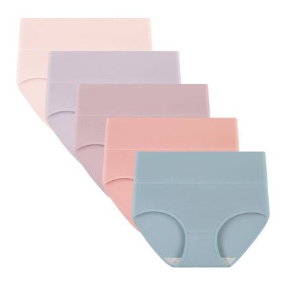 Women's High Waisted Briefs 5-Pack